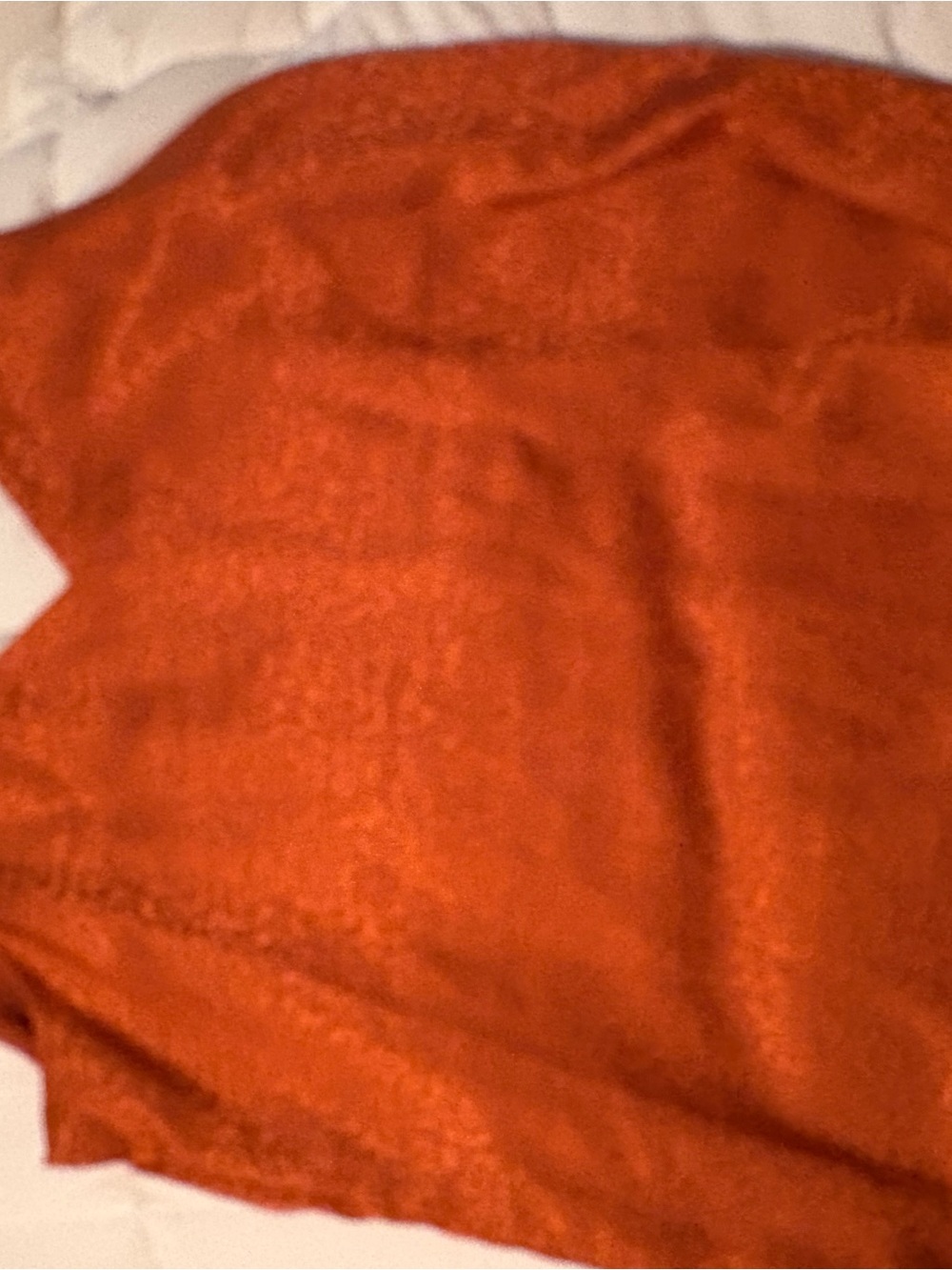 Express Burnt Orange Textured Blouse
